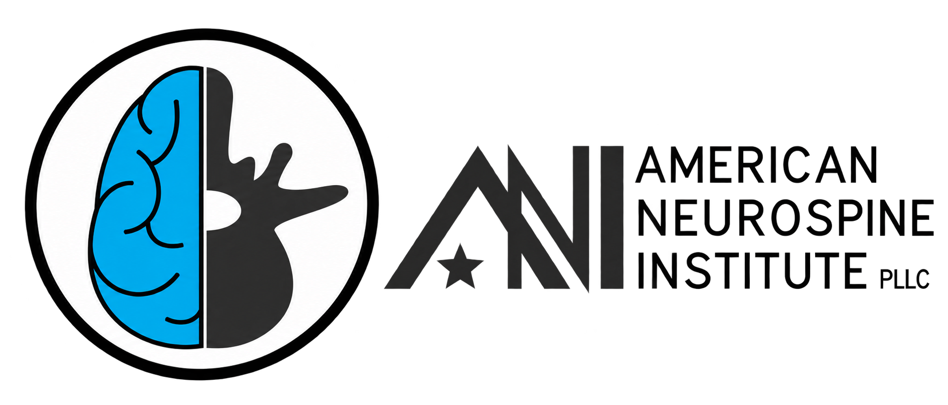 American Neurospine Institute